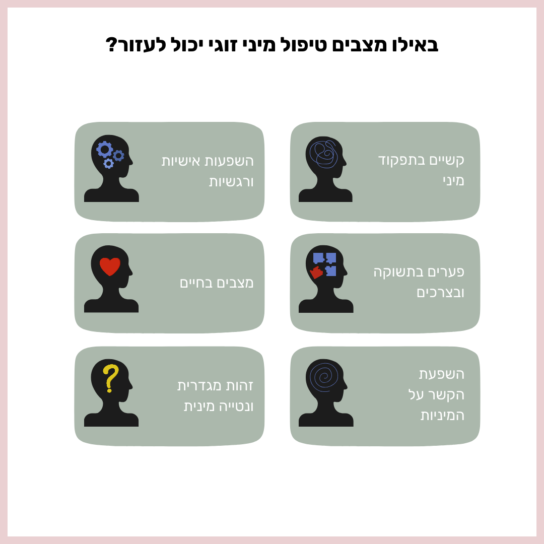 מצבים שבהם טיפול מיני זוגי יכול לעזור: קשיי תפקוד מיני, פערים בתשוקה ובצרכים, השפעות אישיות ורגשיות, מצבים בחיים, זהות מגדרית ונטיות והשפעת הקשר על המיניות